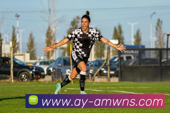 威尼斯人官网平台生态图